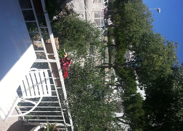 Angela 3* Сплит